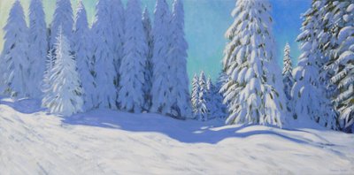 Fresh snow, Morzine, France, 2015 by Andrew Macara